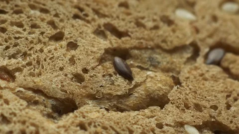Pumpernickel bread Stock Footage 117316209