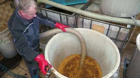 Pumping Fermented Mash for Distillation Stock Footage 342027686