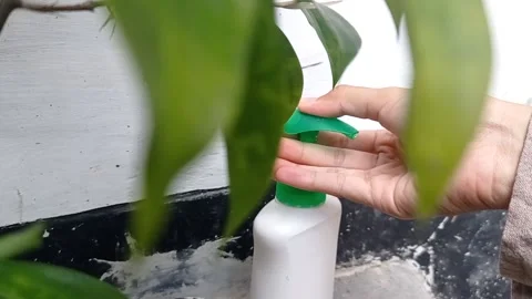 Pumping a hand soap to a hand Stock Footage 146246879