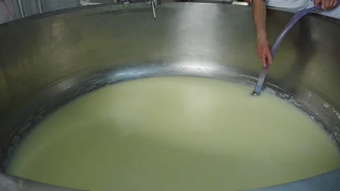 Pumping out the whey from the curds in a small dairy Video stock 157968442