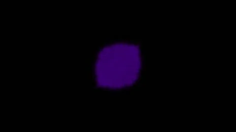 Pumping purple hairy ball Stock Footage