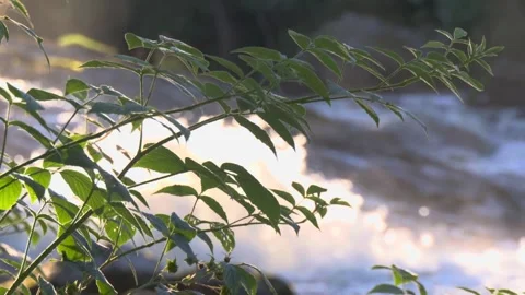 Pumping water in bokeh Stock Footage 338305293