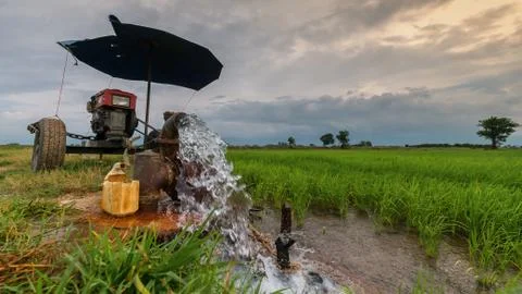 Pumping water into the fields Stock Photos