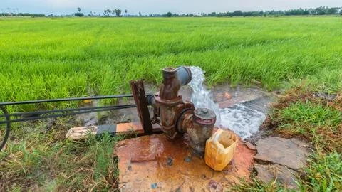Pumping water into the fields Stock Photos