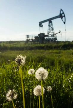 A pumpjack by a grassy field Stock Photos