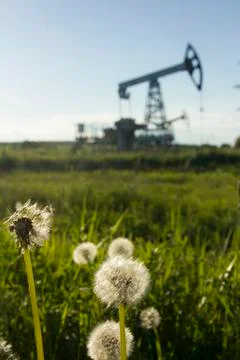 A pumpjack by a grassy field Foto stock