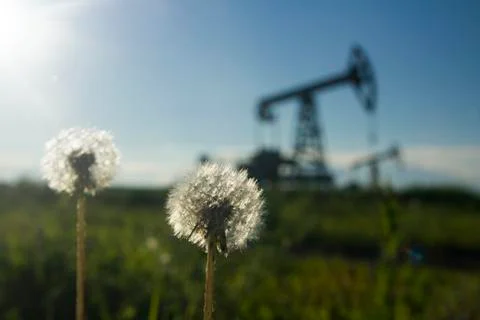 A pumpjack by a grassy field Stock Photos