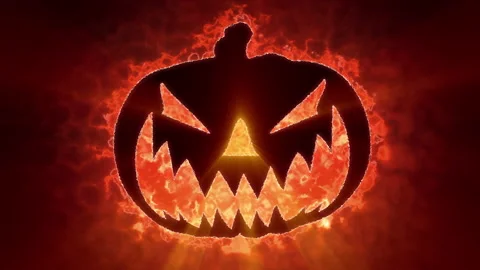 Pumpkin 1 Stock-Footage 213728791