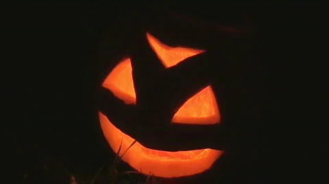 Pumpkin 3 Stock Footage 874444