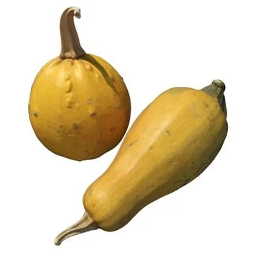 Pumpkin 3d illustration isolated on the white background Stock Illustration