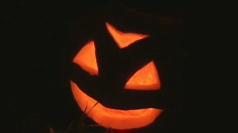 Pumpkin 4 Stock Footage 874429