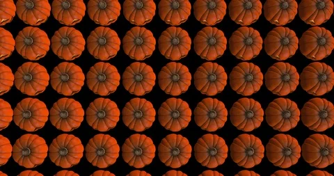 Pumpkin aerial view Video stock 89076109