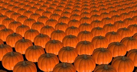 Pumpkin aerial view Stock Footage 102925298