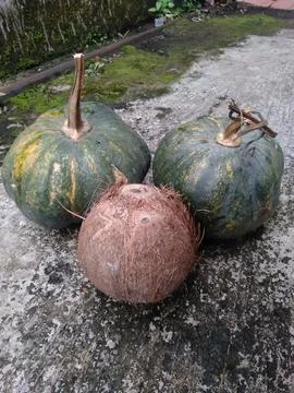 Pumpkin and coconut 스톡 사진