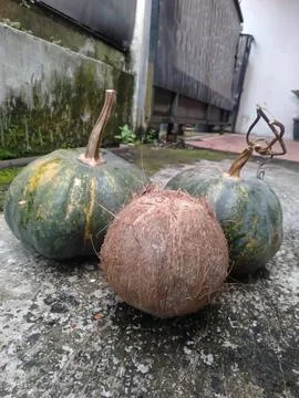 Pumpkin and coconut 스톡 사진