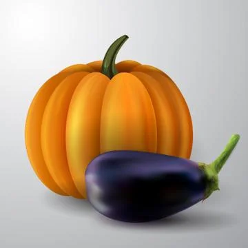 Pumpkin and eggplant Stock Illustration