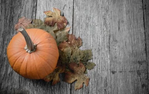 Pumpkin and fall leaves on rustic wood background Foto stock