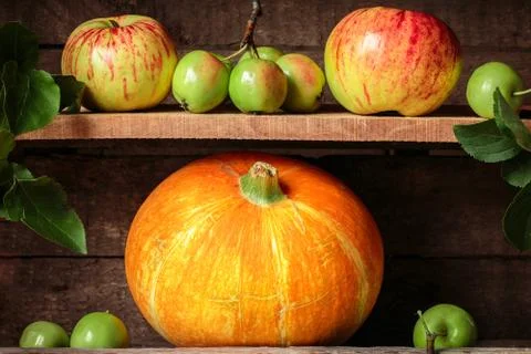 Pumpkin and fresh apples on a rustic table Stock Photos