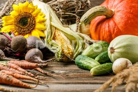 Pumpkin and harvest vegetables Stock Photos