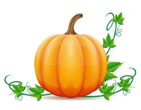 Pumpkin and leaf vector illustration Stock Illustration