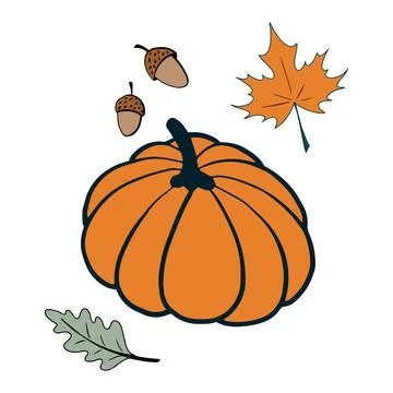 Pumpkin and leaves doodle set. Isolated on white background. Stock Illustration