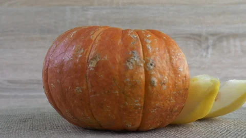 Pumpkin and melon pieces Video stock 249263677