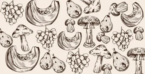 Pumpkin and mushrooms pattern line art Vector. Autumn fall harvest decors Stock Illustration