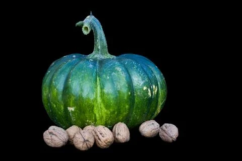 Pumpkin and nuts 库存照片