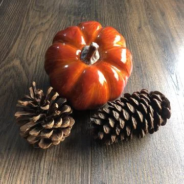 Pumpkin and Pine Cones Stock Photos