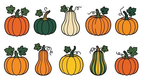 Pumpkin and Squash Collection with Different Shapes Colors Leaves and Vines.. Stock Illustration