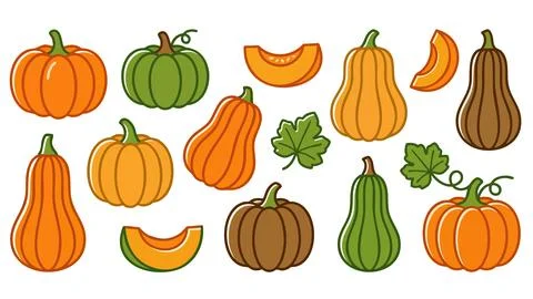 Pumpkin and Squash Icon Set with Whole Sliced Pumpkin Leaves and Vine Vector Stock Illustration