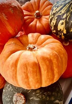 Pumpkin and Squashes Stock Photos