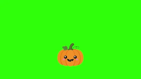 Pumpkin animated halloween cute jack o lantern bouncing 4k green screen bac.. Stock Footage 346569495
