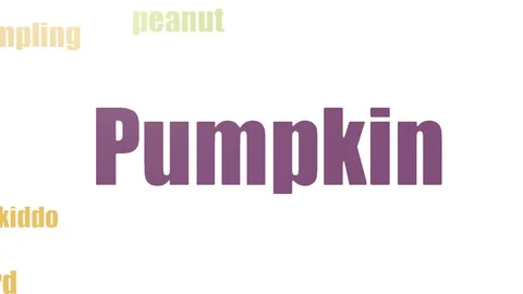 Pumpkin Animated Word Cloud Isolated On White Video stock 107240407