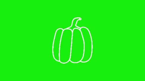 Pumpkin animation on green screen Vidéo 328899771