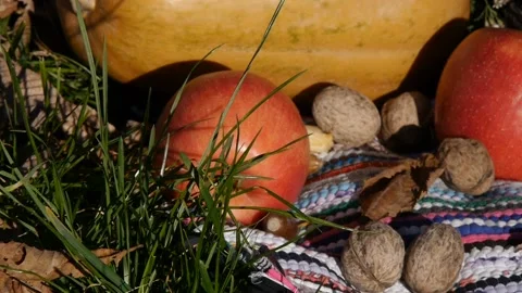 Pumpkin, apples and walnuts lie in the grass. Stock Footage 105967487