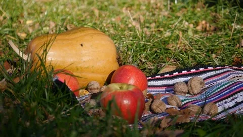 Pumpkin, apples and walnuts lie in the grass. The apple is rolling. Stock-Footage 105967805