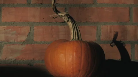 Pumpkin Autumn Dance - Background, Intro - Harvest, Thanksgiving, Halloween Stock Footage 160348128