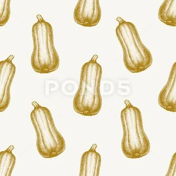 Pumpkin background. Hand drawn vector seamless pattern with vegetables. Vintage Stock Illustration