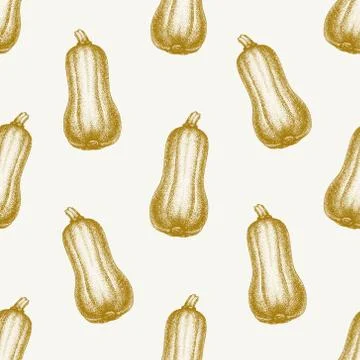 Pumpkin background. Hand drawn vector seamless pattern with vegetables. Vintage Stock Illustration