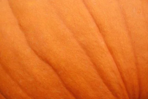 Pumpkin background Stock Photos