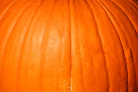 Pumpkin background Stock Photos