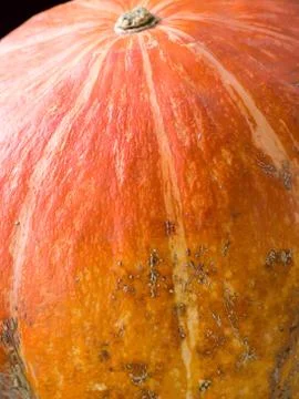 Pumpkin background. Foto stock