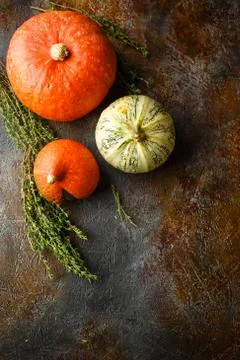 Pumpkin, basil and thyme on a rusty background Stock Photos