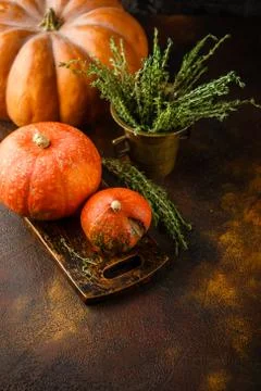 Pumpkin, basil and thyme on a rusty background Stock Photos
