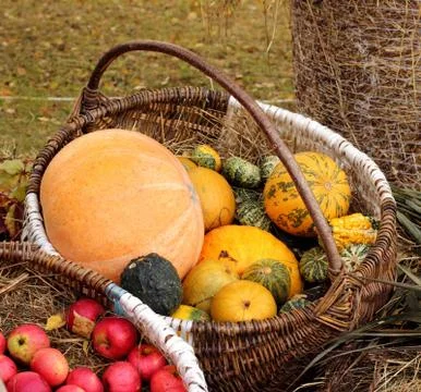 Pumpkin basket Stock Photos