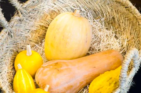 Pumpkin in a basket Stock Photos