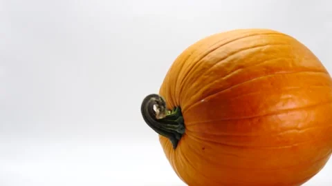 Pumpkin being spun on its side isolated on white Autumn Halloween Stock Footage 218411824