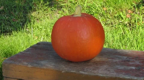 Pumpkin on the bench Stock Footage 41833821