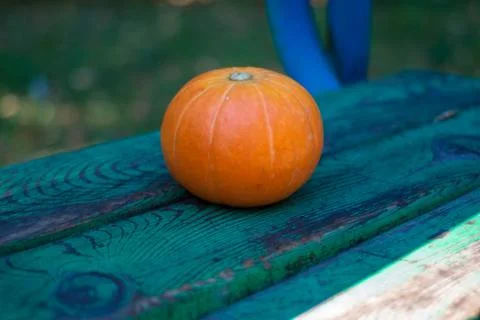 Pumpkin on the bench Stock-Fotos